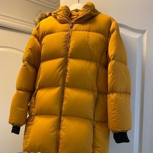 Aritzia Babaton puffer